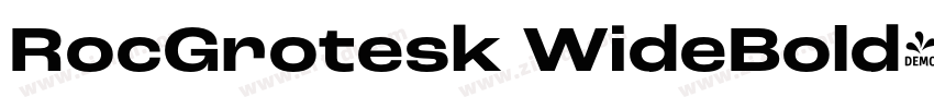 RocGrotesk WideBold字体转换